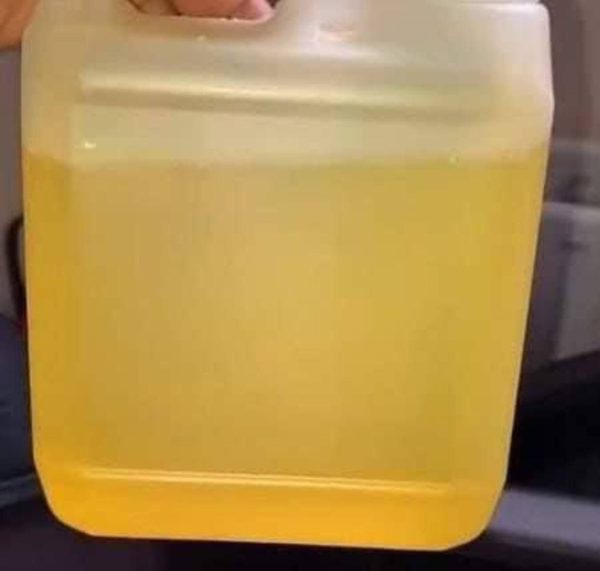 Albino Oil